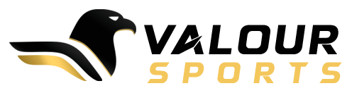 VALOUR ENTERPRISES